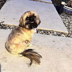 Fundraising Page: Tralynn Gray